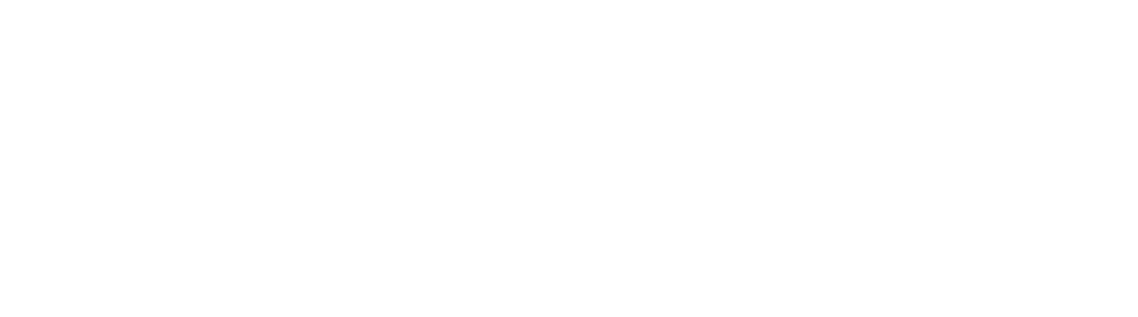 Essential Energy Holding
